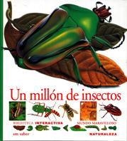 MILLON DE INSECTOS, UN.MUNDO MARAVILLOSO | 9788434852051 | Llibreria Drac - Llibreria d'Olot | Comprar llibres en català i castellà online