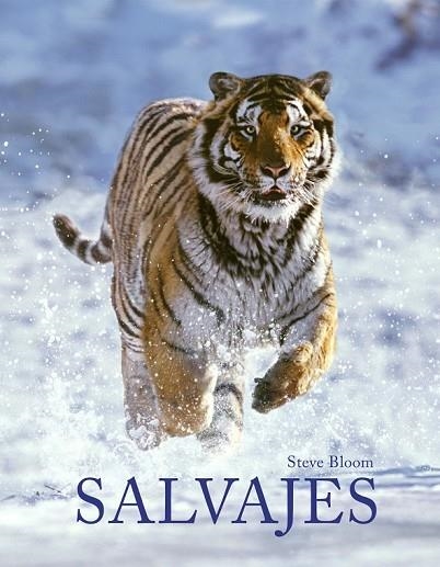SALVAJES | 9788415888789 | BLOOM, STEVE ; ARAÚJO, JOAQUÍN | Llibreria Drac - Librería de Olot | Comprar libros en catalán y castellano online