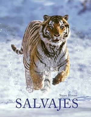 SALVAJES | 9788415888789 | BLOOM, STEVE ; ARAÚJO, JOAQUÍN | Llibreria Drac - Librería de Olot | Comprar libros en catalán y castellano online