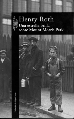 ESTRELLA BRILLA SOBRE MOUNT MORRIS PARK, UNA | 9788420429991 | ROTH,HEMRY | Llibreria Drac - Llibreria d'Olot | Comprar llibres en català i castellà online