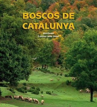 BOSCOS DE CATALUNYA | 9788497857895 | AA.VV. | Llibreria Drac - Llibreria d'Olot | Comprar llibres en català i castellà online
