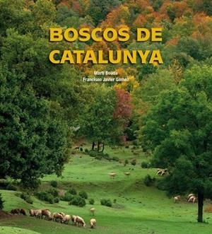 BOSCOS DE CATALUNYA | 9788497857895 | AA.VV. | Llibreria Drac - Llibreria d'Olot | Comprar llibres en català i castellà online