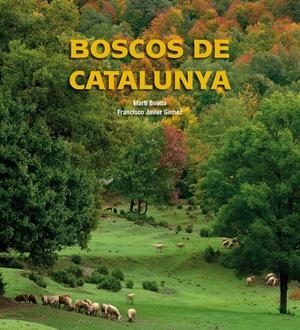 BOSCOS DE CATALUNYA | 9788497857895 | AA.VV. | Llibreria Drac - Llibreria d'Olot | Comprar llibres en català i castellà online