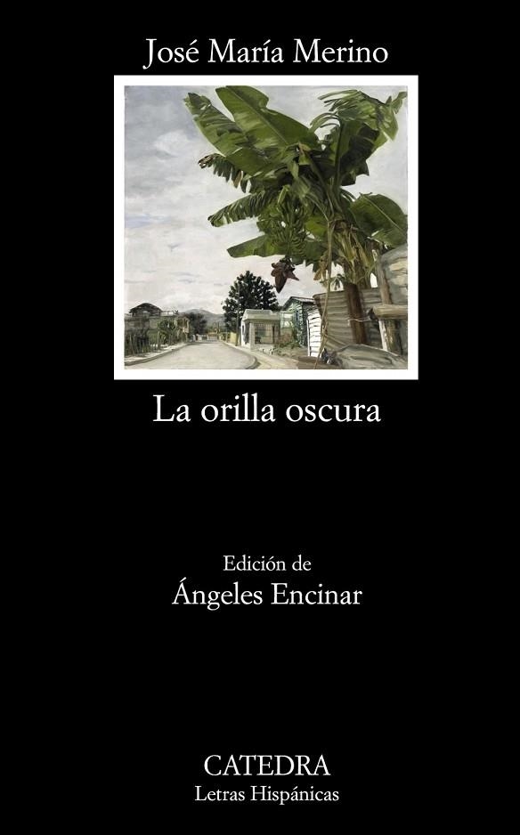 ORILLA OSCURA, LA | 9788437628882 | MERINO, JOSE MARIA | Llibreria Drac - Librería de Olot | Comprar libros en catalán y castellano online