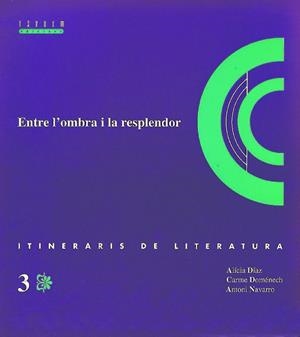 ENTRE L'OMBRA I LA RESPLANDOR.ITINERARIS DE LITERA | 9788487693953 | Llibreria Drac - Llibreria d'Olot | Comprar llibres en català i castellà online