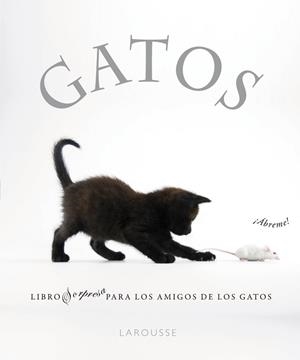 GATOS | 9788480169349 | AA.VV. | Llibreria Drac - Librería de Olot | Comprar libros en catalán y castellano online