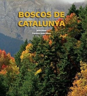BOSCOS DE CATALUNYA | 9788497859318 | BOADA JUNCA, MARTI | Llibreria Drac - Librería de Olot | Comprar libros en catalán y castellano online