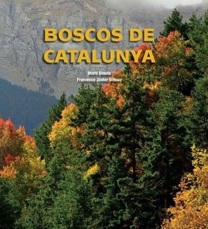 BOSCOS DE CATALUNYA | 9788497859318 | BOADA JUNCA, MARTI | Llibreria Drac - Librería de Olot | Comprar libros en catalán y castellano online