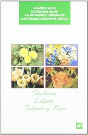 GERBERA, LILIUM, TULIPAN Y ROSA | 9788471144461 | BAÐON ARIAS, ETC | Llibreria Drac - Librería de Olot | Comprar libros en catalán y castellano online