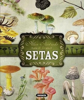 ATLAS ILUSTRADO DE LAS SETAS | 9788467722871 | BECKER, GEORGES/Y OTROS | Llibreria Drac - Librería de Olot | Comprar libros en catalán y castellano online