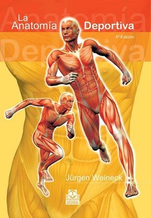 ANATOMIA DEPORTIVA, LA             (DIP) | 9788480192095 | WEINECK, JURGEN | Llibreria Drac - Librería de Olot | Comprar libros en catalán y castellano online