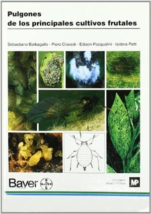 PULGONES DE LOS PRINCIPALES CULTIVOS FRUTALES | 9788471147820 | BARBAGALLO, SEBASTIAN | Llibreria Drac - Librería de Olot | Comprar libros en catalán y castellano online