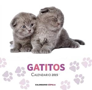 CALENDARIO 2015 GATITOS  | 9788448019730 | AA. VV. | Llibreria Drac - Librería de Olot | Comprar libros en catalán y castellano online