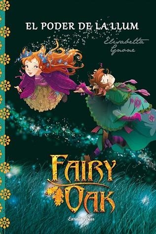 PODER DE LA LLUM, EL ( FAIRY OAK LLIBRE TERCER ) | 9788490575635 | GNONE, ELISABETTA | Llibreria Drac - Librería de Olot | Comprar libros en catalán y castellano online