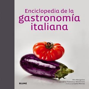 ENCICLOPEDIA DE LA GASTRONOMÍA ITALIANA | 9788416138098 | MANGOLINI, MIA | Llibreria Drac - Llibreria d'Olot | Comprar llibres en català i castellà online