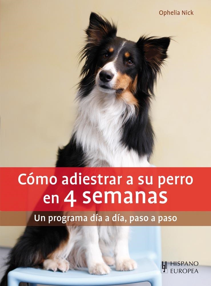 CÓMO ADIESTRAR A SU PERRO EN 4 SEMANAS | 9788425520822 | NICK, OPHELIA | Llibreria Drac - Librería de Olot | Comprar libros en catalán y castellano online