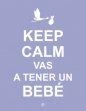 KEEP CALM VAS A TENER UN BEBÉ | 9788490602416 | AA.VV | Llibreria Drac - Llibreria d'Olot | Comprar llibres en català i castellà online