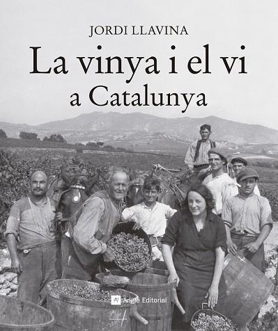 VINYA I EL VI A CATALUNYA, LA | 9788416139187 | LLAVINA, JORDI | Llibreria Drac - Librería de Olot | Comprar libros en catalán y castellano online