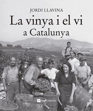 VINYA I EL VI A CATALUNYA, LA | 9788416139187 | LLAVINA, JORDI | Llibreria Drac - Librería de Olot | Comprar libros en catalán y castellano online