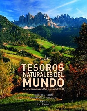 TESOROS NATURALES DEL MUNDO | 9788416177264 | MOLINA, PEDRO ; BERROCAL, ANA BELÉN | Llibreria Drac - Librería de Olot | Comprar libros en catalán y castellano online