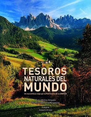 TESOROS NATURALES DEL MUNDO | 9788416177264 | MOLINA, PEDRO ; BERROCAL, ANA BELÉN | Llibreria Drac - Librería de Olot | Comprar libros en catalán y castellano online