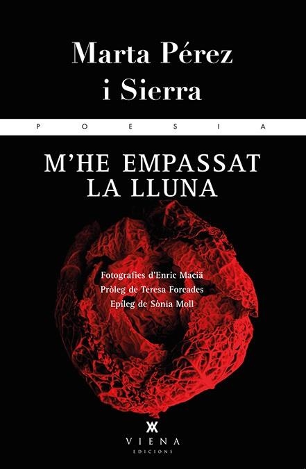 M'HE EMPASSAT LA LLUNA | 9788483308264 | PÉREZ, MARTA | Llibreria Drac - Librería de Olot | Comprar libros en catalán y castellano online
