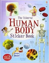 HUMAN BODY STICKER BOOK | 9781409532781 | AAVV | Llibreria Drac - Librería de Olot | Comprar libros en catalán y castellano online