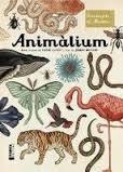 ANIMÀLIUM (CAT) | 9788415315223 | BROOM, JENNY | Llibreria Drac - Librería de Olot | Comprar libros en catalán y castellano online