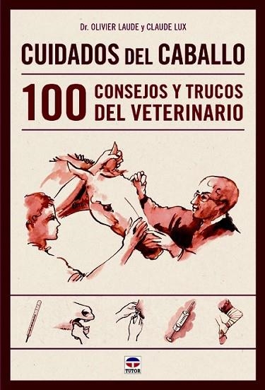 CUIDADOS DEL CABALLO. 100 CONSEJOS Y TRUCOS DEL VETERINARIO | 9788479029906 | LAUDE, OLIVIER; LUX, CLAUDE | Llibreria Drac - Librería de Olot | Comprar libros en catalán y castellano online