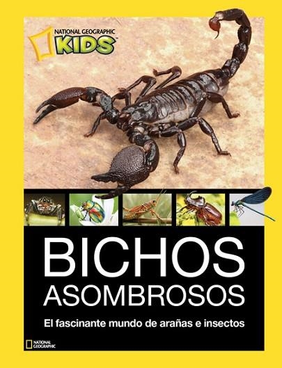 BICHOS ASOMBROSOS | 9788482986098 | AAVV | Llibreria Drac - Librería de Olot | Comprar libros en catalán y castellano online