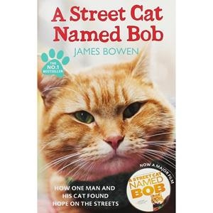 STREET CAT NAMED BOB, A | 9781444737110 | BOWEN, JAMES | Llibreria Drac - Llibreria d'Olot | Comprar llibres en català i castellà online