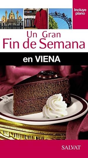 VIENA 2015 (UN GRAN FIN DE SEMANA) | 9788499357492 | FOLLET, JEAN-PHILIPPE | Llibreria Drac - Librería de Olot | Comprar libros en catalán y castellano online
