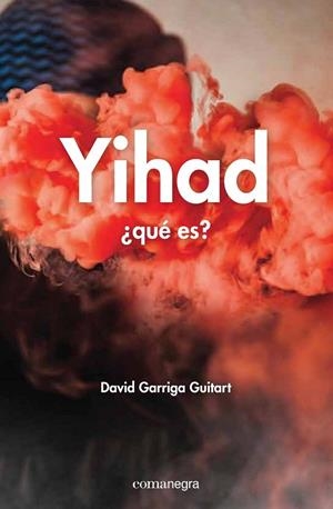 YIHAD: ¿QUÉ ES? | 9788416033690 | GARRIGA, DAVID | Llibreria Drac - Librería de Olot | Comprar libros en catalán y castellano online