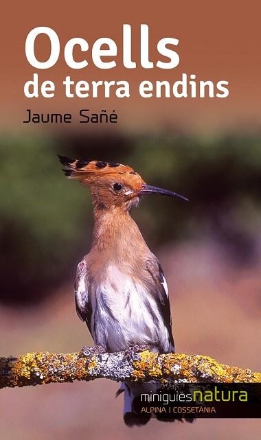 OCELLS DE TERRA ENDINS (MINIGUIES NATURA 9) | 9788490343357 | SAÑÉ, JAUME | Llibreria Drac - Llibreria d'Olot | Comprar llibres en català i castellà online