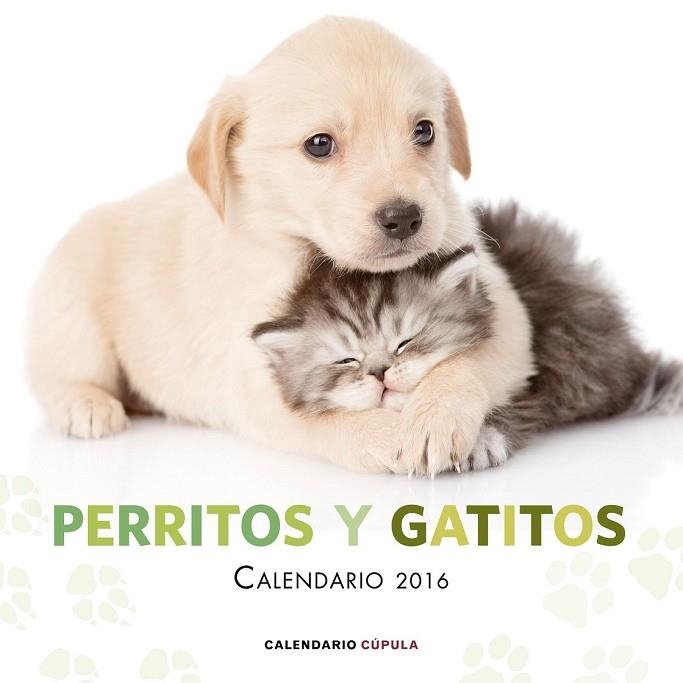 CALENDARIO 2016 PERRITOS Y GATITOS | 9788448021726 | AA. VV. | Llibreria Drac - Llibreria d'Olot | Comprar llibres en català i castellà online