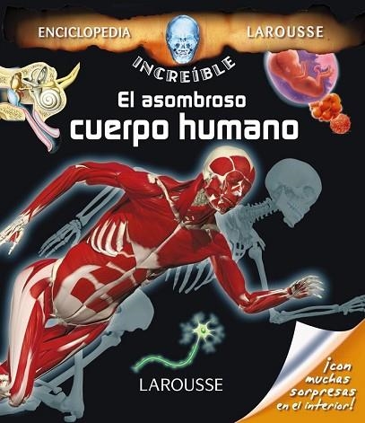 ASOMBROSO CUERPO HUMANO, EL | 9788416368112 | VV.AA. | Llibreria Drac - Librería de Olot | Comprar libros en catalán y castellano online
