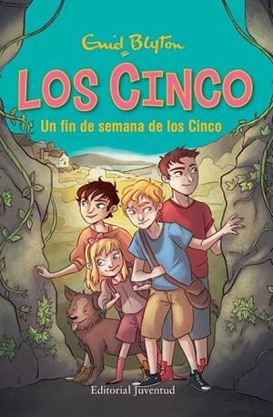 FIN DE SEMANA DE LOS CINCO, UN  (LOS CINCO Nº10) | 9788426143013 | BLYTON, ENID | Llibreria Drac - Librería de Olot | Comprar libros en catalán y castellano online