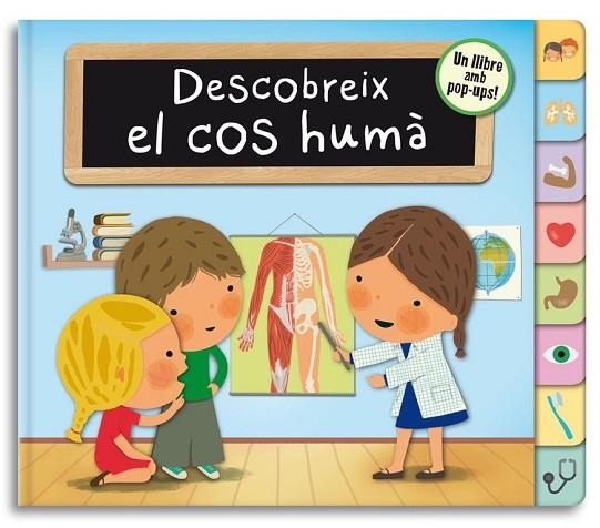 DESCOBREIX EL COS HUMÀ (UN LLIBRE AMB POP-UPS) | 9788448844332 | BONAVISTA,JOSE IGNACIO | Llibreria Drac - Librería de Olot | Comprar libros en catalán y castellano online