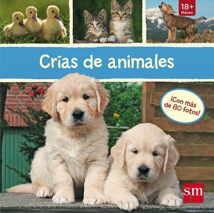 CRIAS DE ANIMALES | 9788467574357 | AAVV | Llibreria Drac - Librería de Olot | Comprar libros en catalán y castellano online