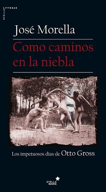 COMO CAMINOS EN LA NIEBLA | 9788416541348 | MORELLA, JOSÉ | Llibreria Drac - Librería de Olot | Comprar libros en catalán y castellano online