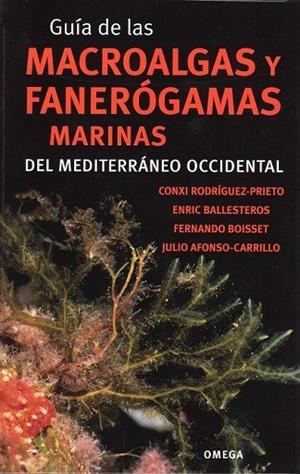GUIA DE LAS MACROALGAS Y FANEROGAMAS MARINAS DEL MEDITERRANEO OCCIDENTAL | 9788428215923 | RODRIGUEZ,CONXI | Llibreria Drac - Librería de Olot | Comprar libros en catalán y castellano online