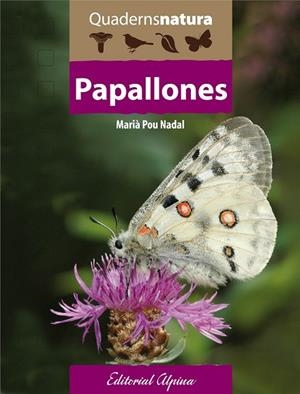 PAPALLONES | 9788480906418 | AA.DD. | Llibreria Drac - Librería de Olot | Comprar libros en catalán y castellano online