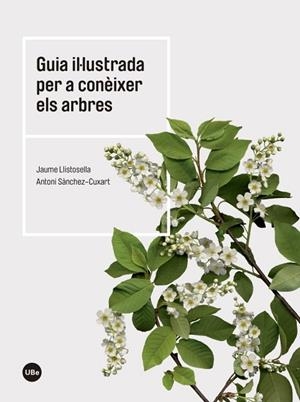 GUIA IL·LUSTRADA PER A CONÈIXER ELS ARBRES | 9788447542444 | LLISTOSELLA, JAUME; SÀNCHEZ, ANTONI | Llibreria Drac - Librería de Olot | Comprar libros en catalán y castellano online