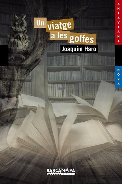 VIATGE A LES GOLFES, UN | 9788448938598 | HARO, JOAQUIM | Llibreria Drac - Librería de Olot | Comprar libros en catalán y castellano online