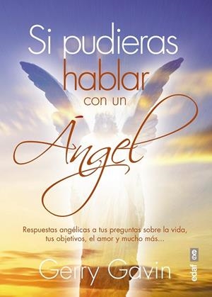 SI PUDIERAS HABLAR CON UN ÁNGEL | 9788441436510 | GAVIN, GERRY | Llibreria Drac - Llibreria d'Olot | Comprar llibres en català i castellà online