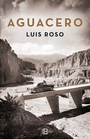 AGUACERO | 9788466659215 | ROSO, LUIS | Llibreria Drac - Librería de Olot | Comprar libros en catalán y castellano online