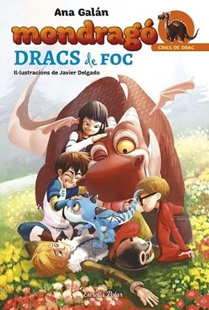 DRACS DE FOC (MONDRAGO 2) | 9788491370307 | GALÁN, ANA | Llibreria Drac - Llibreria d'Olot | Comprar llibres en català i castellà online
