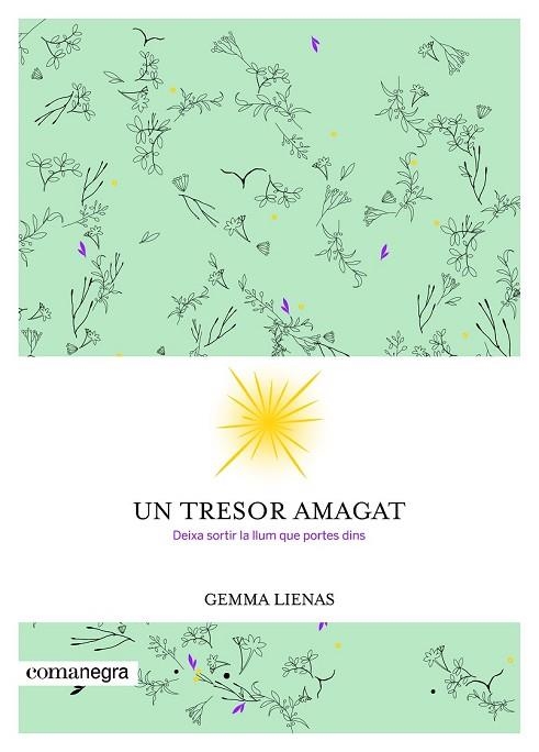 TRESOR AMAGAT, UN | 9788416605347 | LIENAS, GEMMA | Llibreria Drac - Librería de Olot | Comprar libros en catalán y castellano online