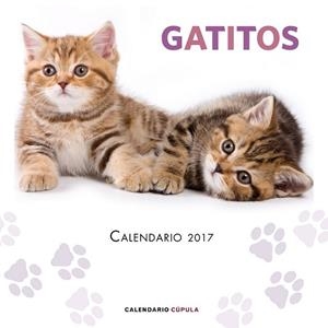 CALENDARIO 2017 GATITOS | 9788448022594 | AA. VV. | Llibreria Drac - Librería de Olot | Comprar libros en catalán y castellano online