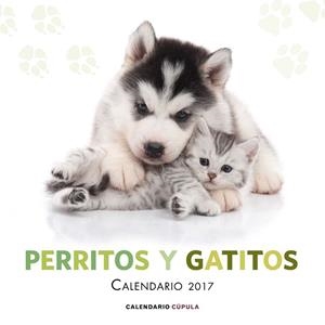 CALENDARIO 2017 PERRITOS Y GATITOS | 9788448022600 | AA. VV. | Llibreria Drac - Librería de Olot | Comprar libros en catalán y castellano online